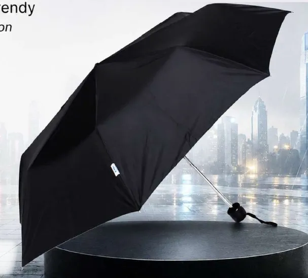 Black Polyester 2 Fold 21 Inches Umbrella
