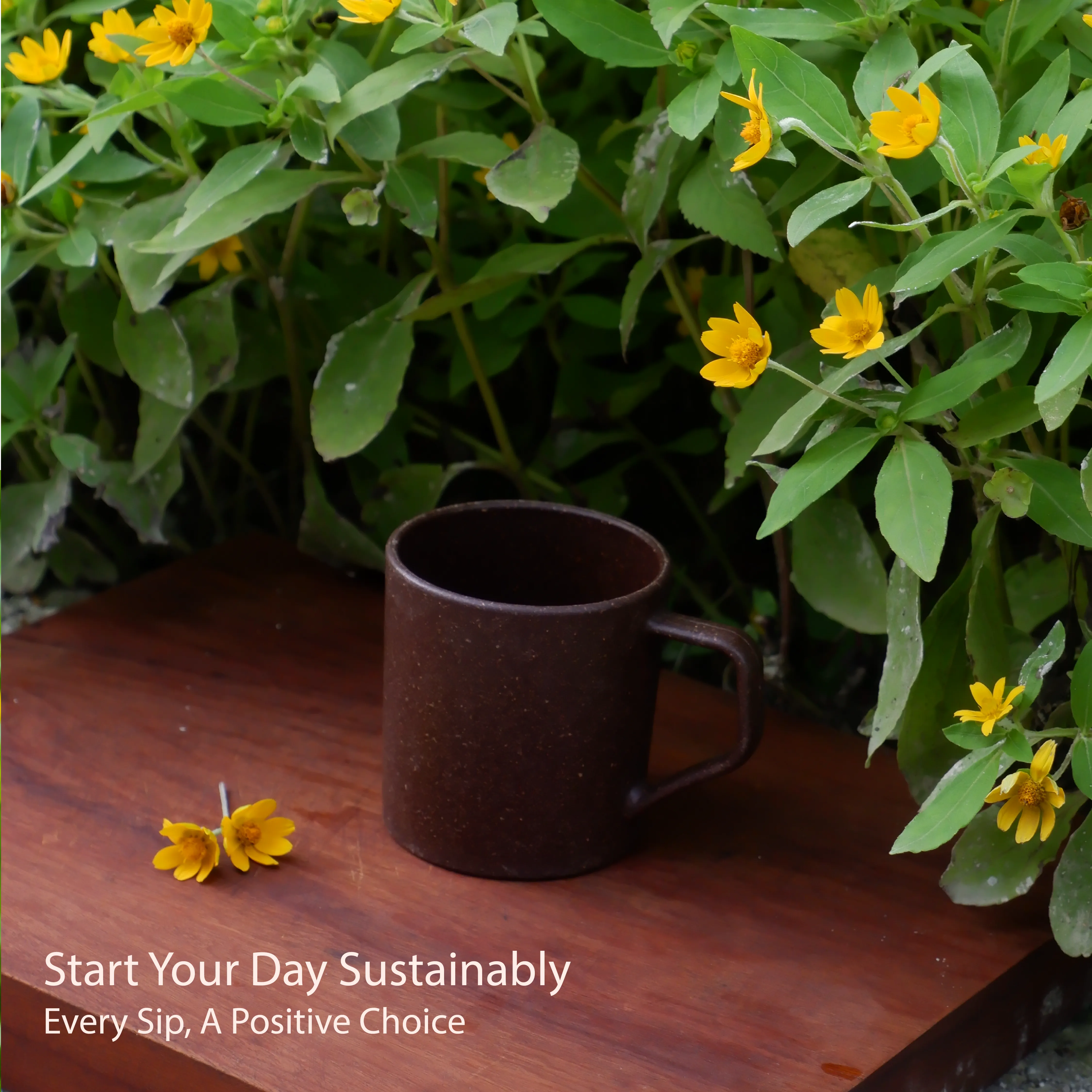 Coffee Brown Turtle Brew Mugs(Pack of 4)