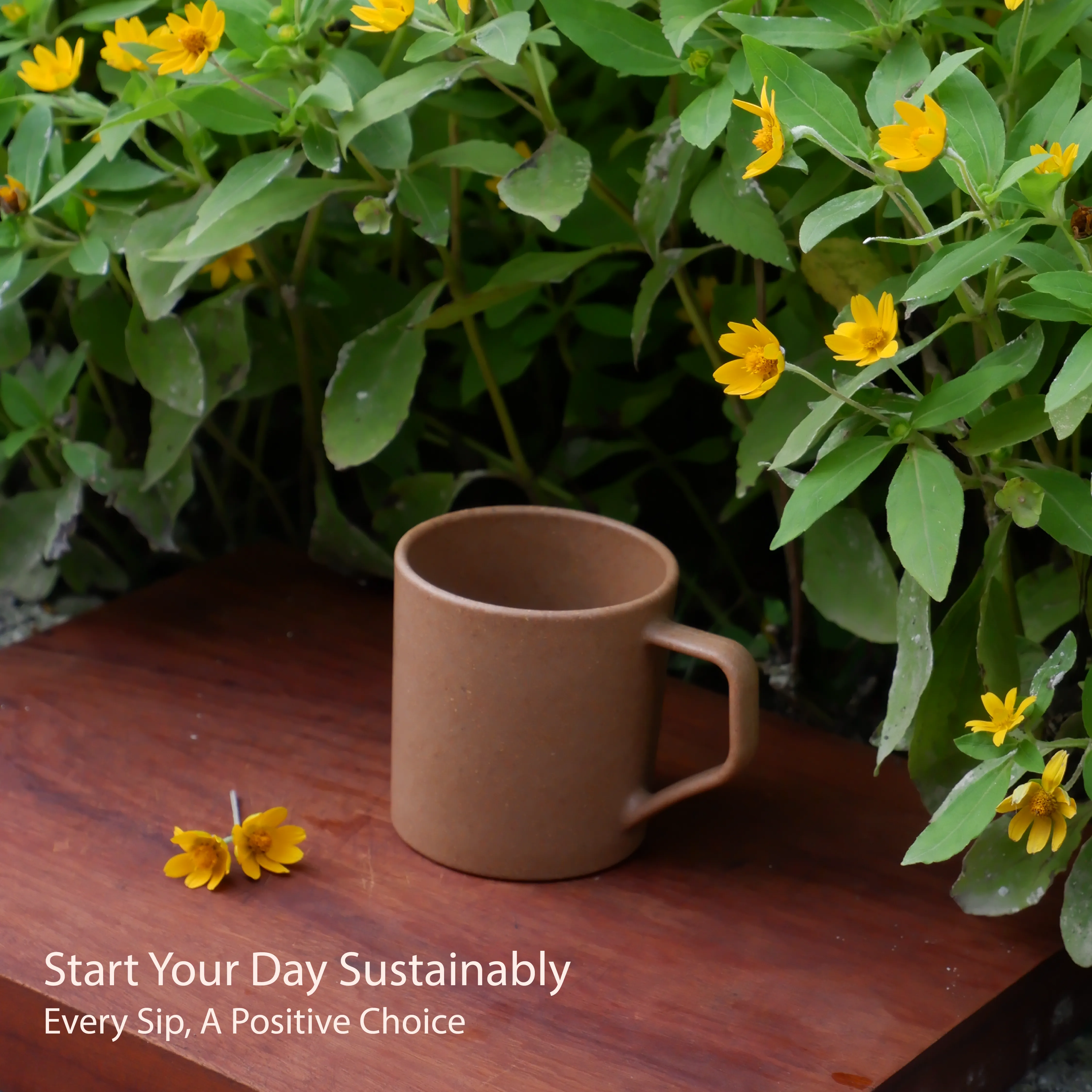 Natural Husk Turtle Brew Mugs(Pack of 4)