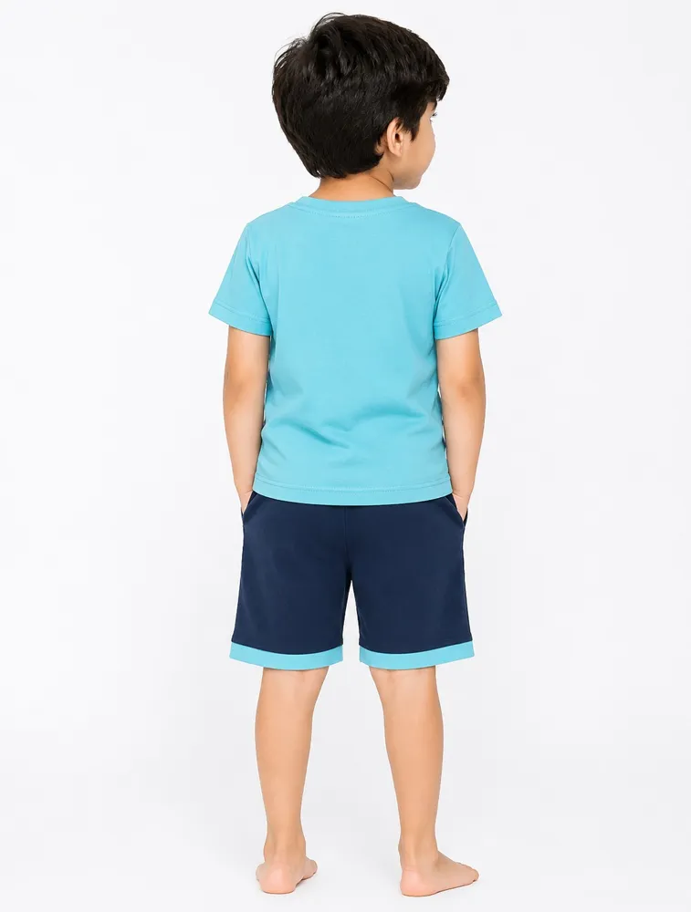 Sky Blue Kids Printed T shirt With Shorts Set — bulk from ₹208