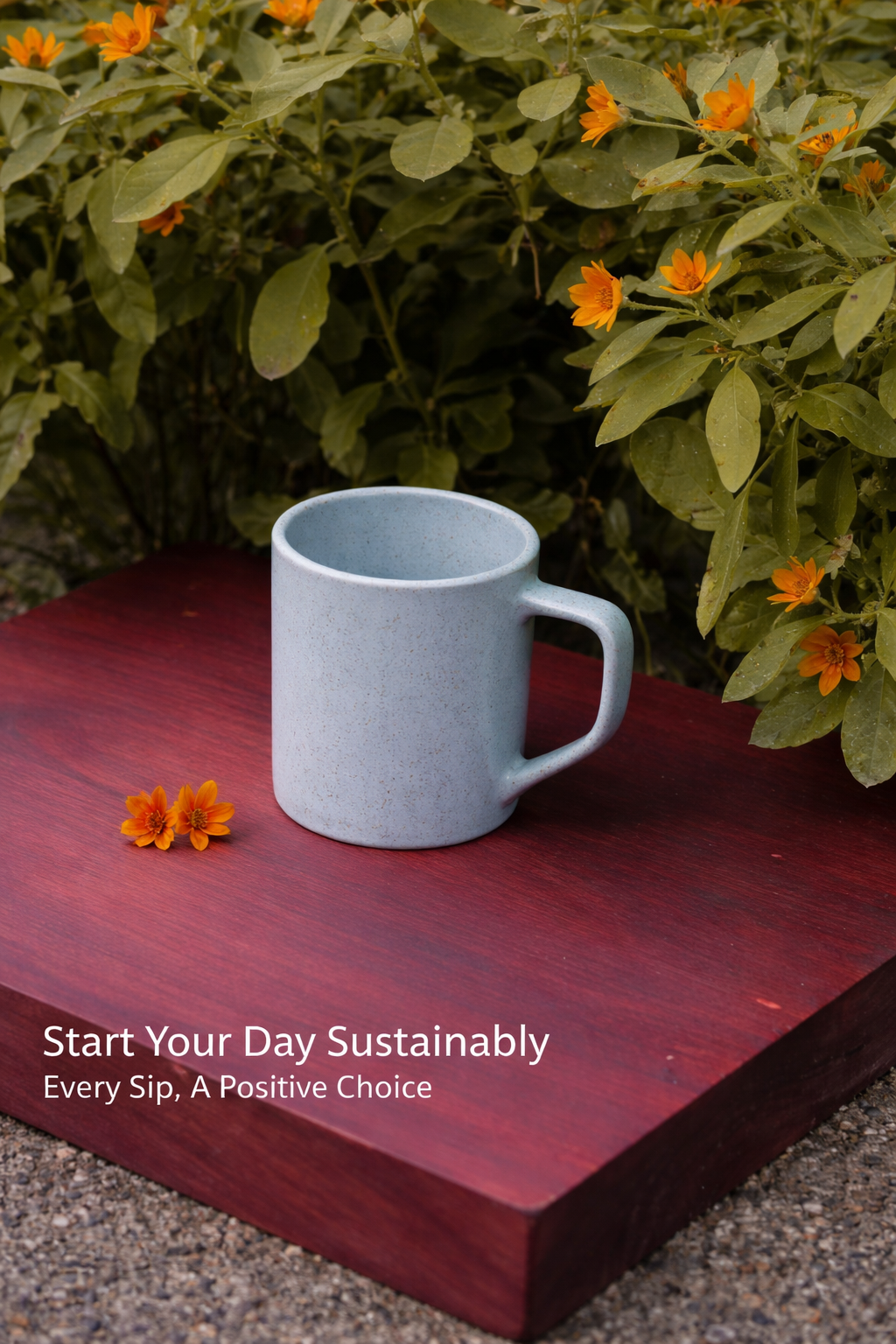 Aqua Turtle Brew Mugs(Pack of 4)