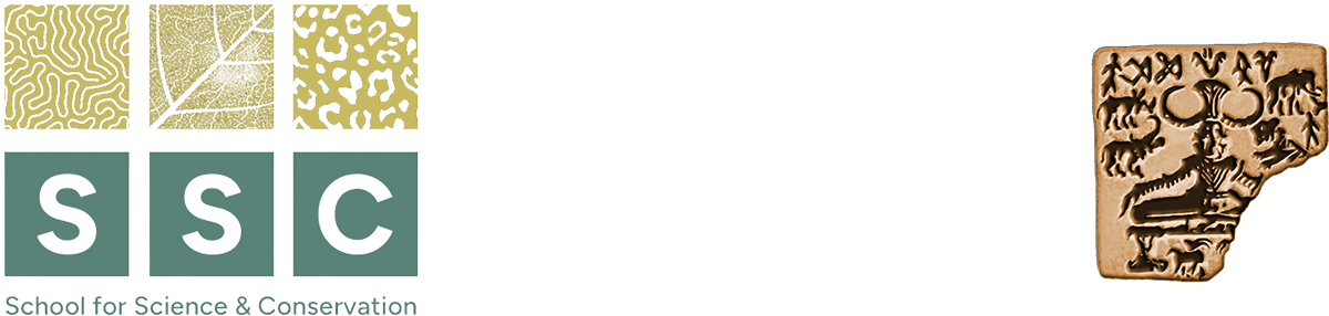 SSC