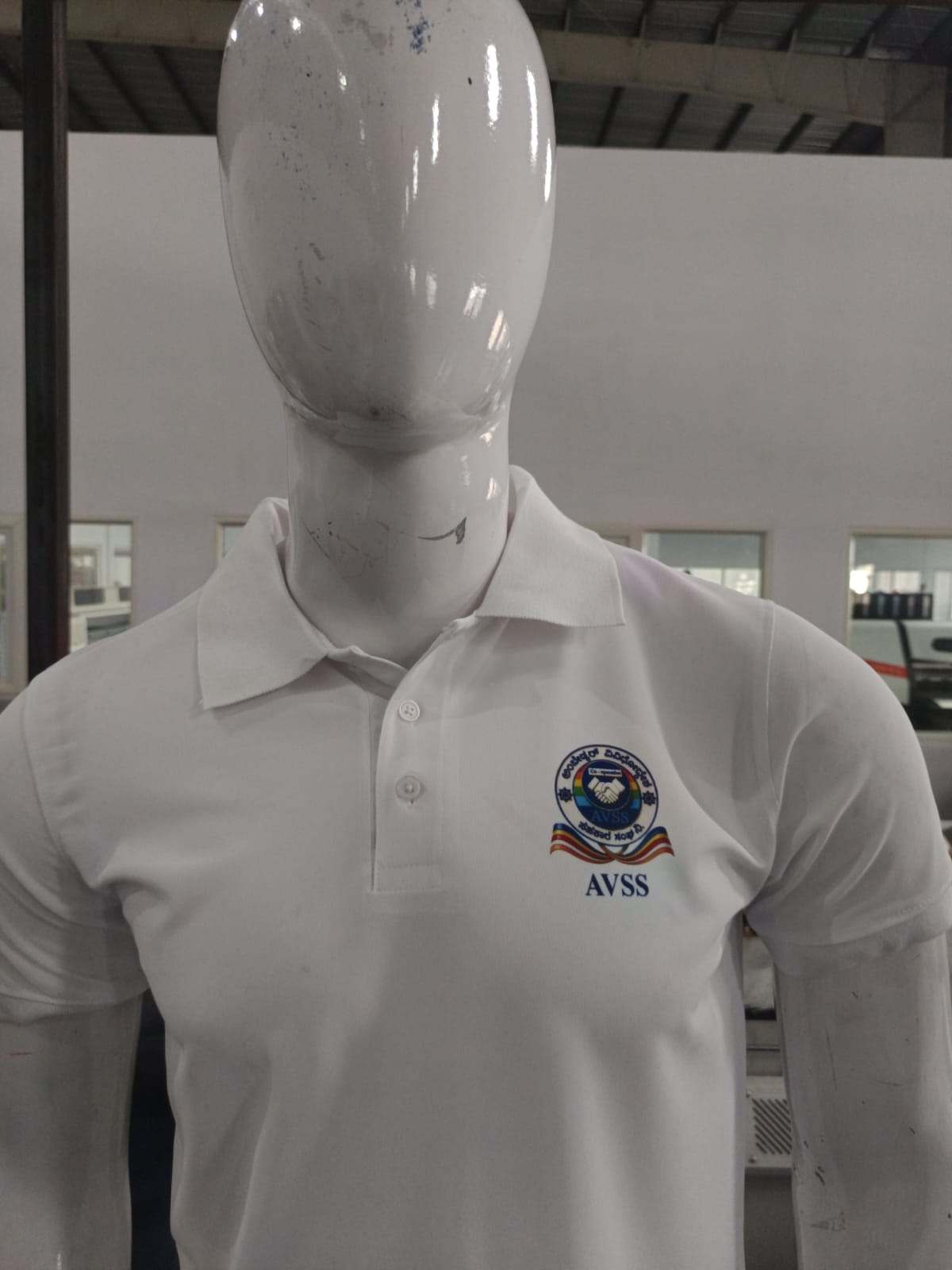 AVSS image 2