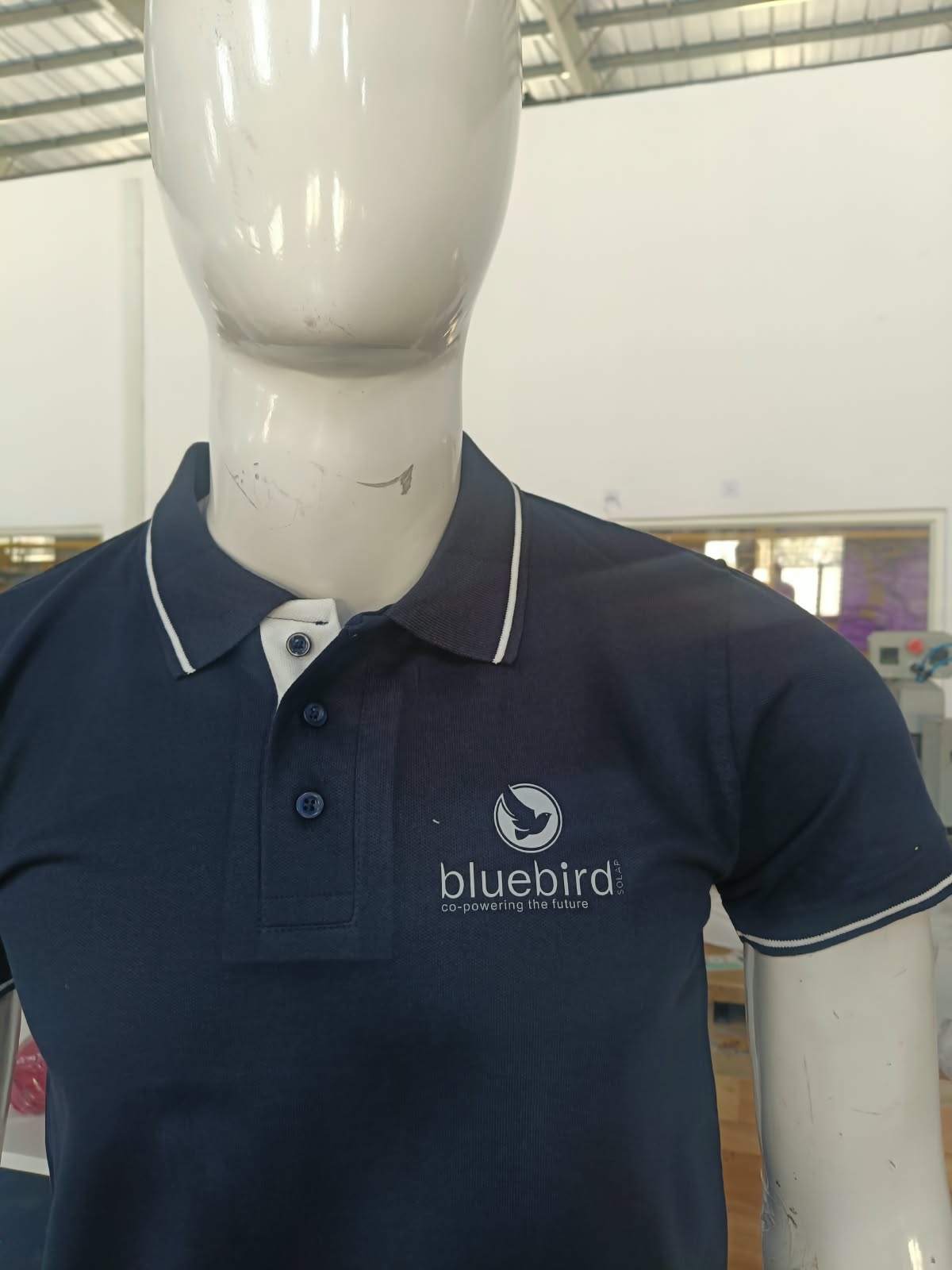 BLUE BIRD image 2