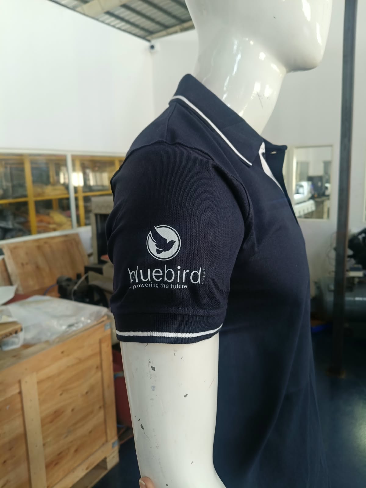 BLUE BIRD image 1